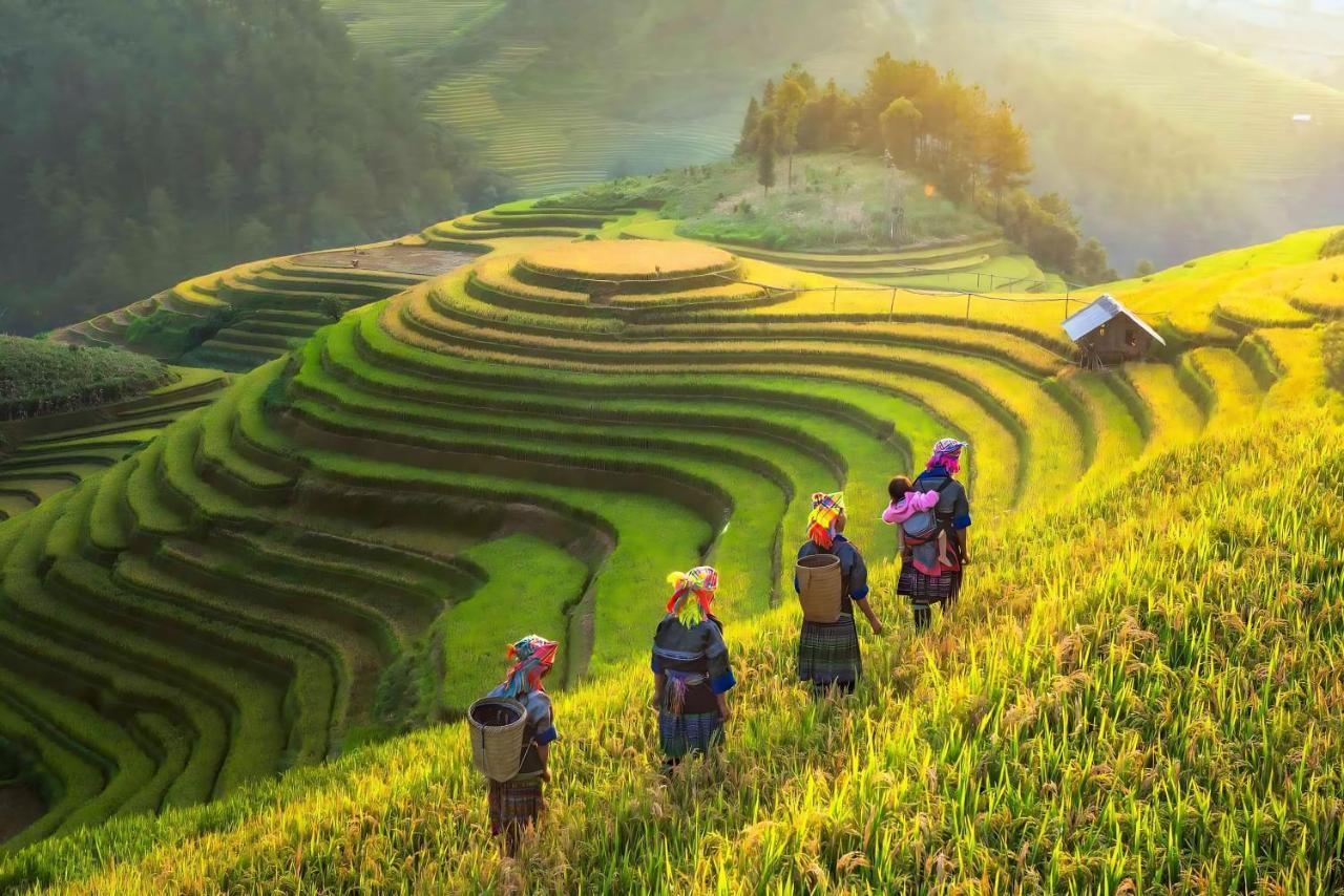 Central Sapa Charm Hotel 外观 照片