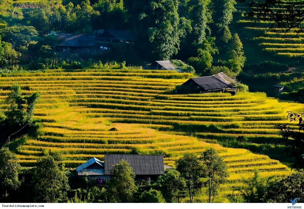 Central Sapa Charm Hotel 外观 照片